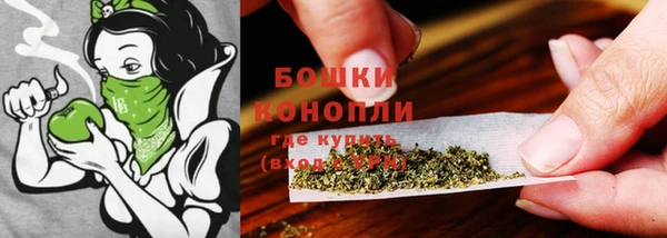 дживик Киренск