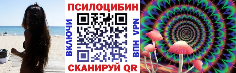 Псилоцибиновые грибы Psilocybine cubensis  Купить где  Задонск 